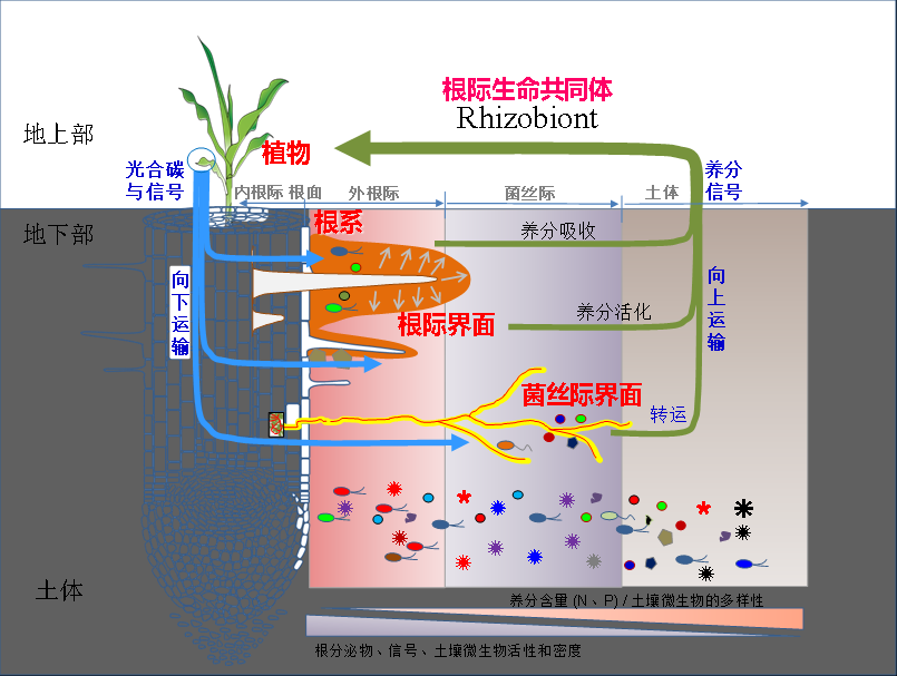 臺州農資